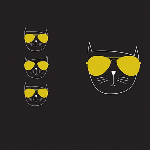 Cool Cat Stretchez