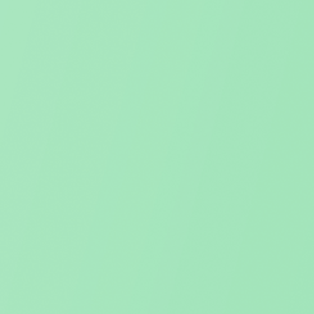 EZ Covers Mint Green Book Cover