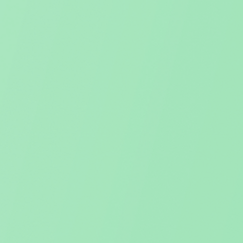 EZ Covers Mint Green Book Cover