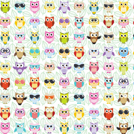 EZ Covers Owls Design Book Cover