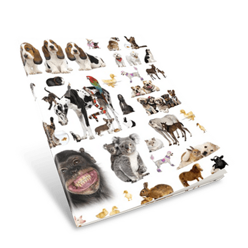 Pets Book Covers - EZ Covers